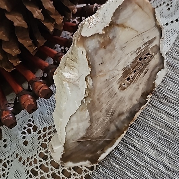 DUSKY PETRIFIED WOOD Slice, Stone Plate, Petrified Wood - Picture 2 of 9